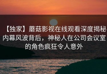 【独家】蘑菇影视在线观看深度揭秘：内幕风波背后，神秘人在公司会议室的角色疯狂令人意外