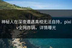 神秘人在深夜遭遇真相无法自持，pixiv全网炸锅，详情曝光
