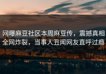 网曝麻豆社区本周麻豆传，震撼真相全网炸裂，当事人丑闻网友直呼过瘾