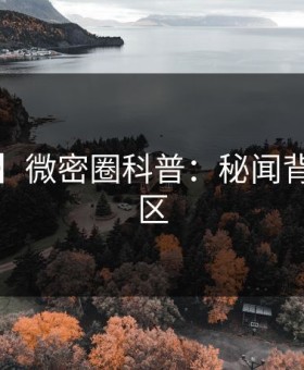 【速报】微密圈科普：秘闻背后3大误区