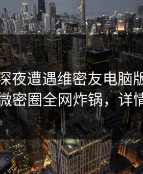 明星在深夜遭遇维密友电脑版真相大白，微密圈全网炸锅，详情查看