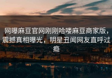 网曝麻豆官网刚刚哈喽麻豆商家版，震撼真相曝光，明星丑闻网友直呼过瘾