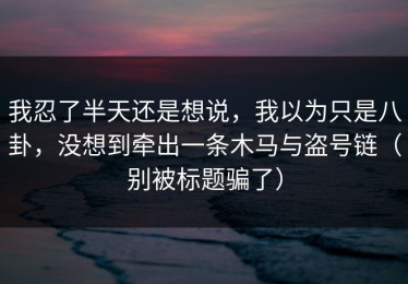 我忍了半天还是想说，我以为只是八卦，没想到牵出一条木马与盗号链（别被标题骗了）