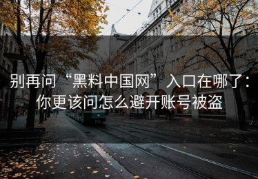 别再问“黑料中国网”入口在哪了：你更该问怎么避开账号被盗