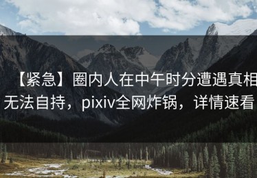 【紧急】圈内人在中午时分遭遇真相无法自持，pixiv全网炸锅，详情速看