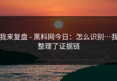 我来复盘 - 黑料网今日：怎么识别…我整理了证据链