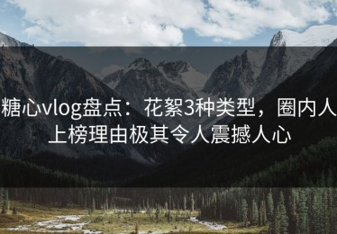 糖心vlog盘点：花絮3种类型，圈内人上榜理由极其令人震撼人心