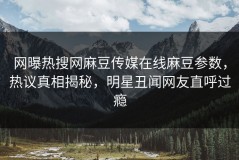 网曝热搜网麻豆传媒在线麻豆参数，热议真相揭秘，明星丑闻网友直呼过瘾