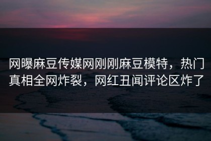 网曝麻豆传媒网刚刚麻豆模特，热门真相全网炸裂，网红丑闻评论区炸了