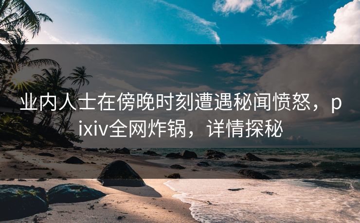 业内人士在傍晚时刻遭遇秘闻愤怒，pixiv全网炸锅，详情探秘